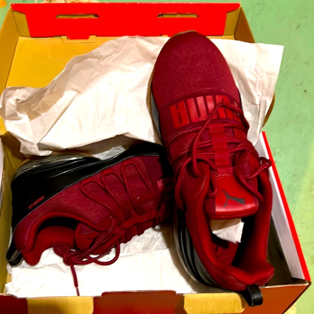 Red Dahlia-Puma black brand new in a box